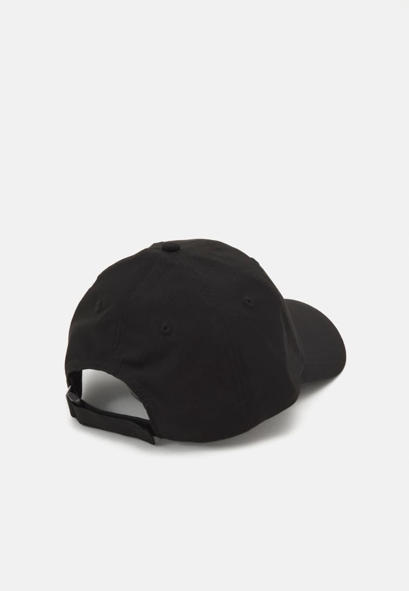 CAP alternate view